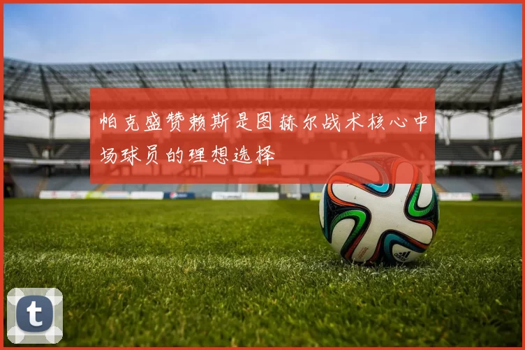 帕克盛赞赖斯是图赫尔战术核心中场球员的理想选择